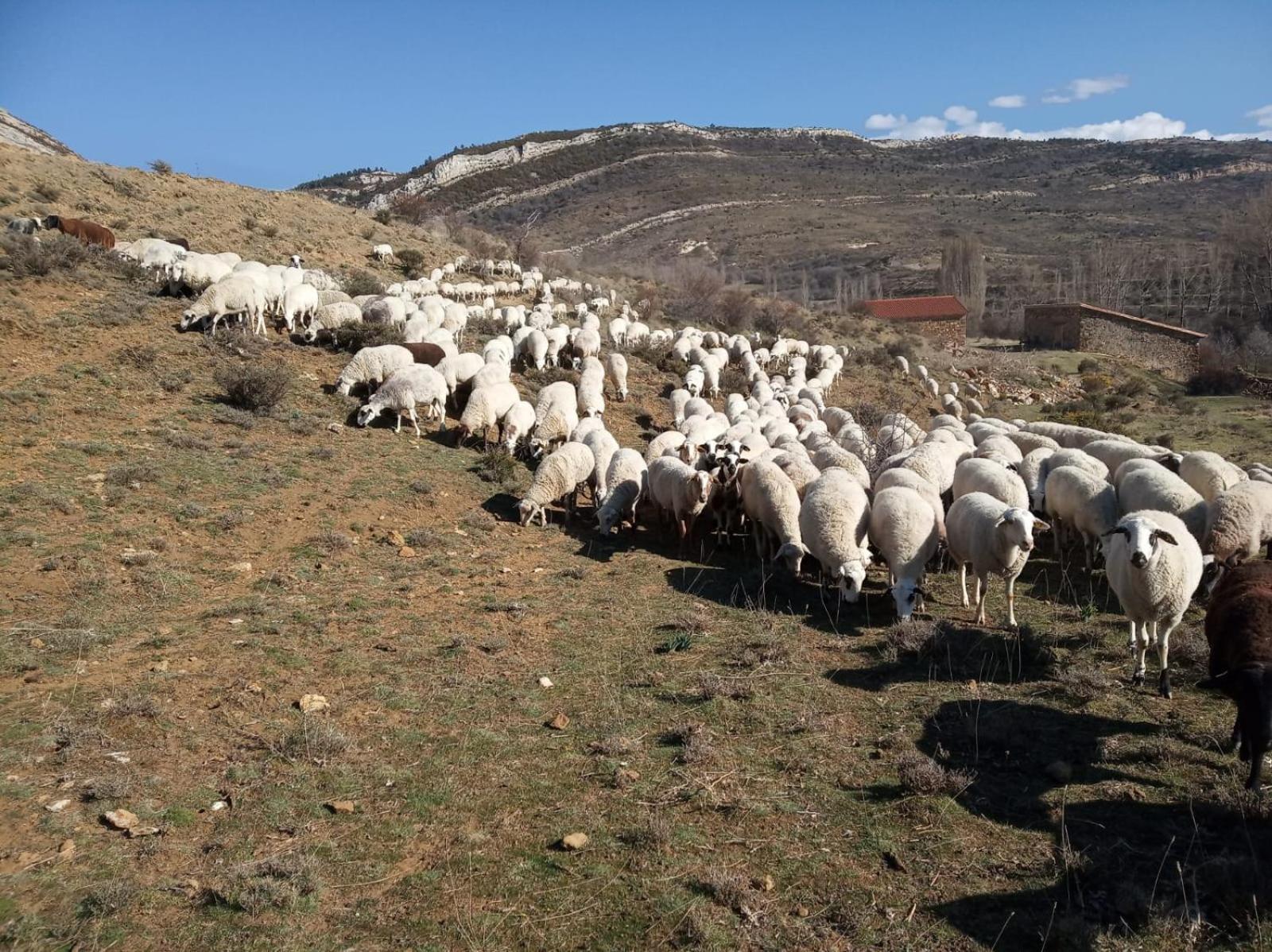Casa Rural Chulilla Villarroya de los Pinares Εξωτερικό φωτογραφία