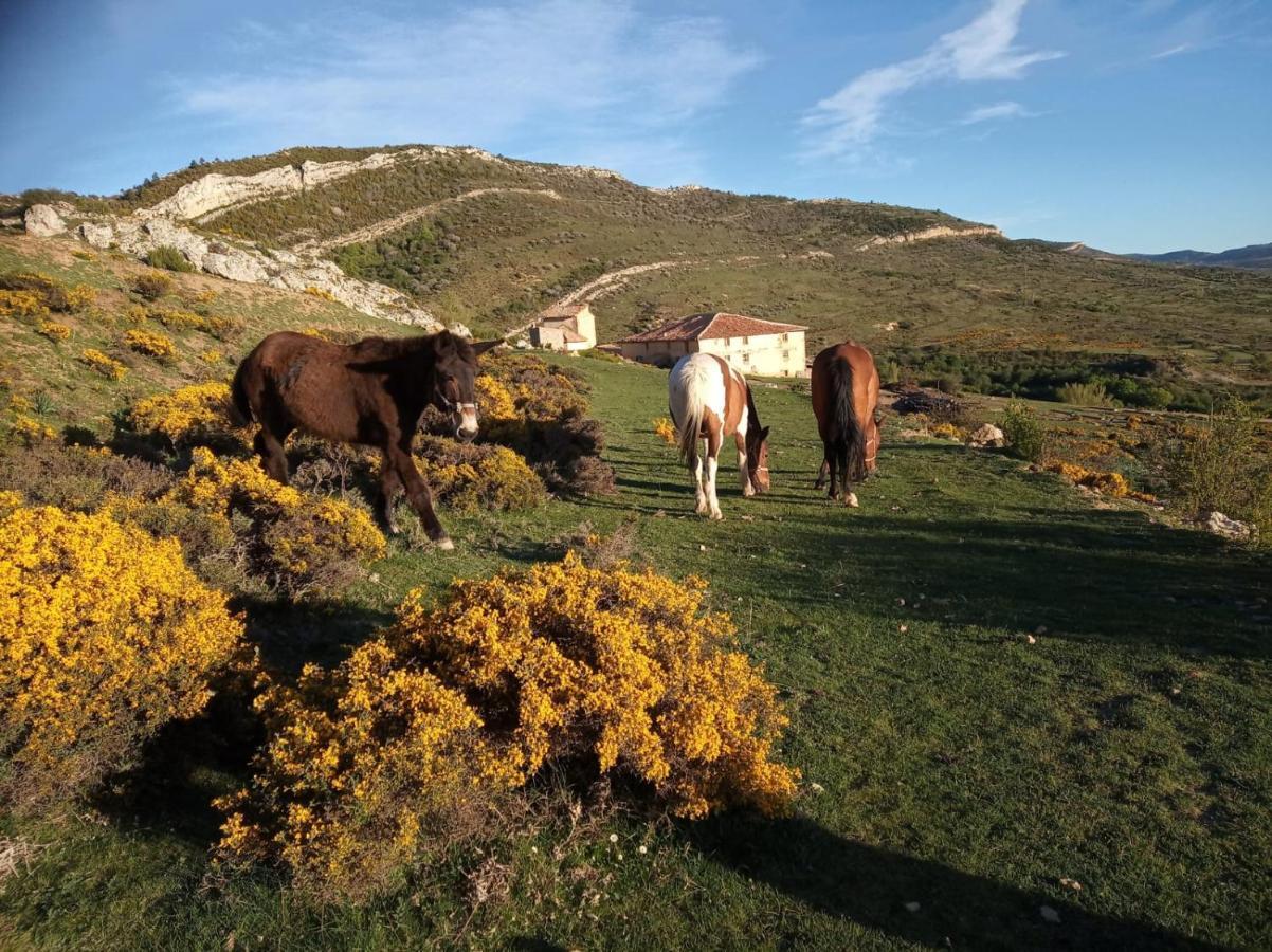 Casa Rural Chulilla Villarroya de los Pinares Εξωτερικό φωτογραφία